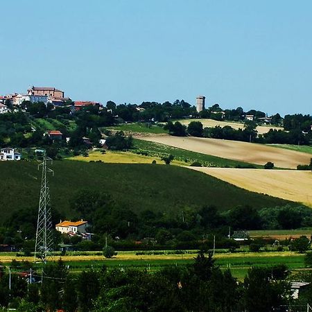 Agriturismo La Casa Della Lavanda - Il Rustico มารีนา ดิ มอนเตมาร์เชียโน ภายนอก รูปภาพ