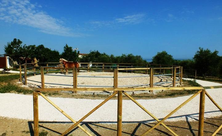 Agriturismo La Casa Della Lavanda - Il Rustico มารีนา ดิ มอนเตมาร์เชียโน ภายนอก รูปภาพ