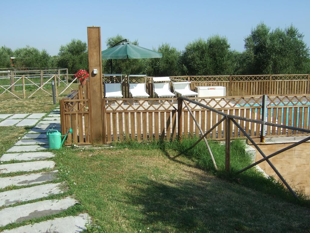 Agriturismo La Casa Della Lavanda - Il Rustico มารีนา ดิ มอนเตมาร์เชียโน ภายนอก รูปภาพ
