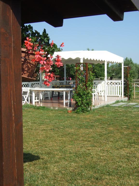 Agriturismo La Casa Della Lavanda - Il Rustico มารีนา ดิ มอนเตมาร์เชียโน ภายนอก รูปภาพ