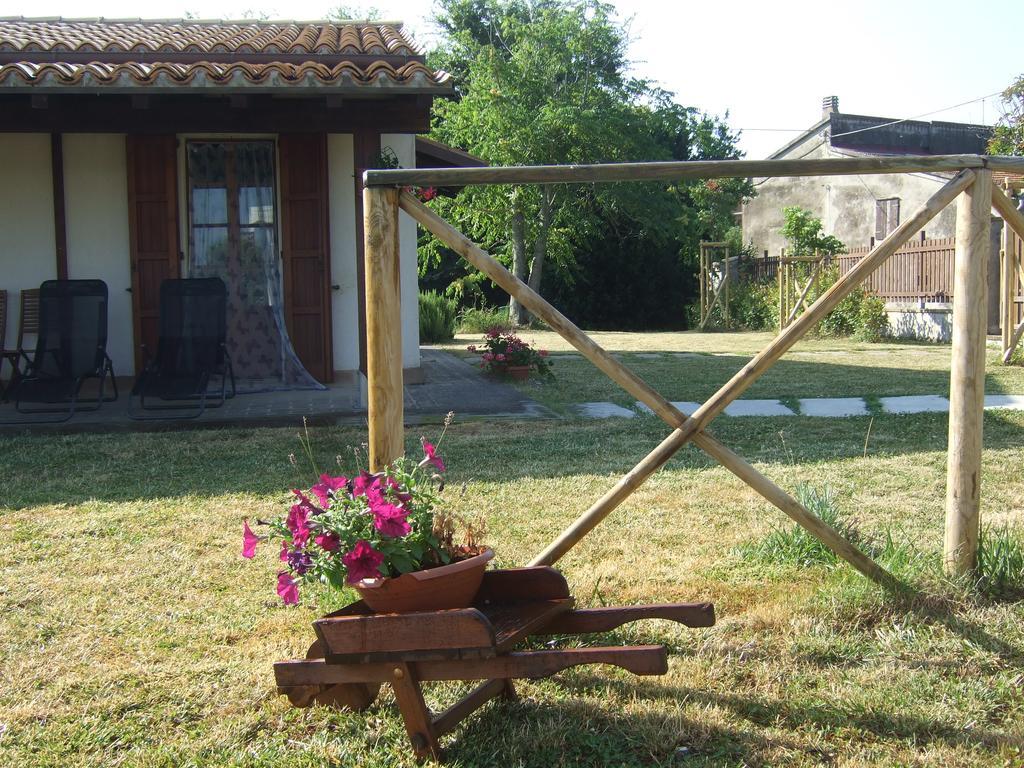 Agriturismo La Casa Della Lavanda - Il Rustico มารีนา ดิ มอนเตมาร์เชียโน ภายนอก รูปภาพ
