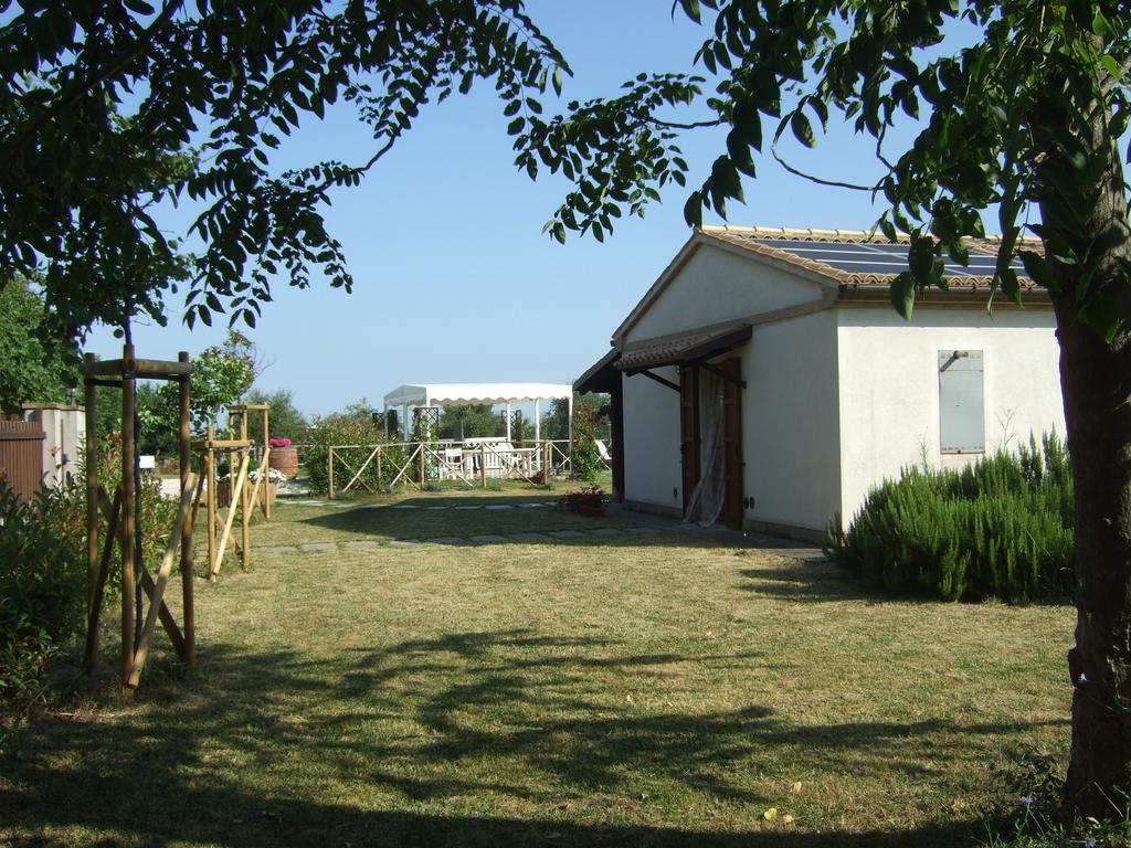 Agriturismo La Casa Della Lavanda - Il Rustico มารีนา ดิ มอนเตมาร์เชียโน ภายนอก รูปภาพ