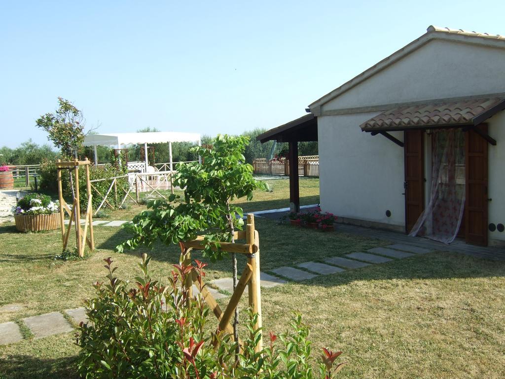 Agriturismo La Casa Della Lavanda - Il Rustico มารีนา ดิ มอนเตมาร์เชียโน ภายนอก รูปภาพ
