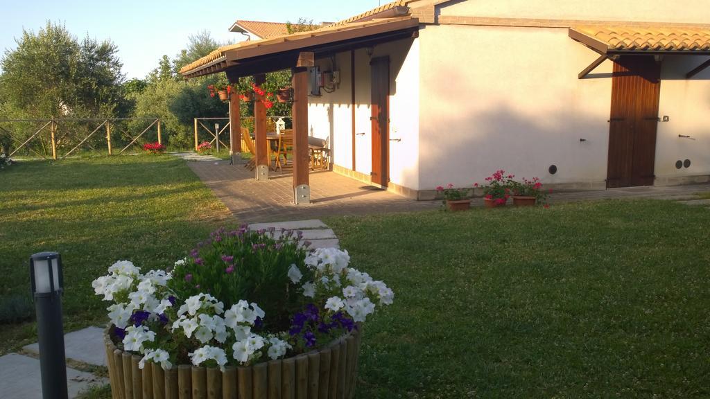 Agriturismo La Casa Della Lavanda - Il Rustico มารีนา ดิ มอนเตมาร์เชียโน ภายนอก รูปภาพ